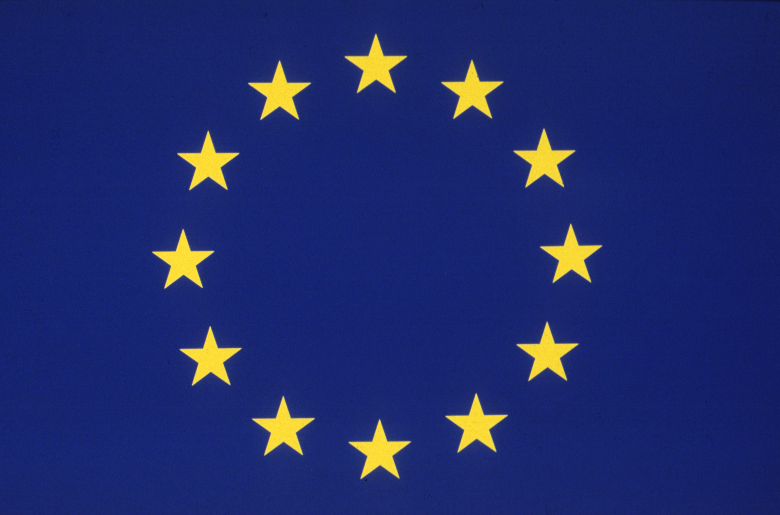  The graphic version of the European Union flag logo.