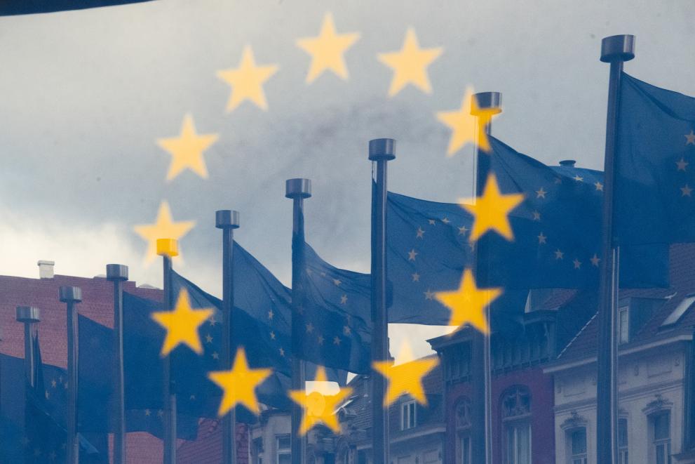 EU-Symbol, Fahne