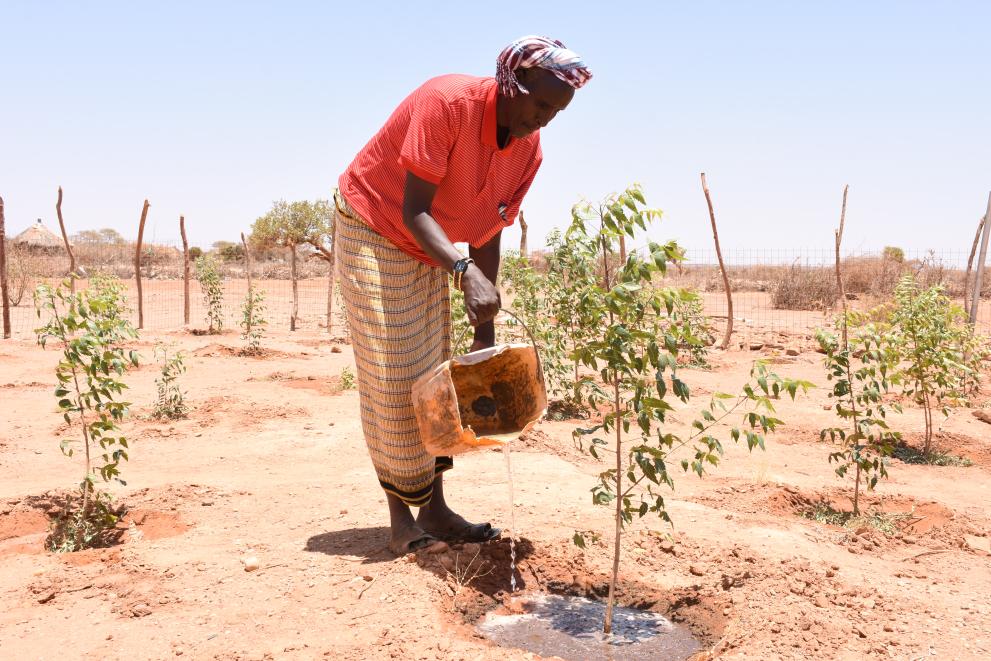 Zu sehen ist ein Mann, welcher Pflanzen mit Wasser begießt. Der Ort ist in Somalia.